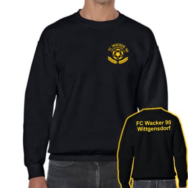 Pullover FCW